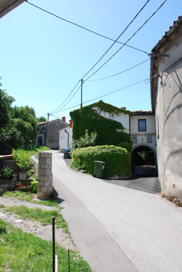 Orlek - Vas