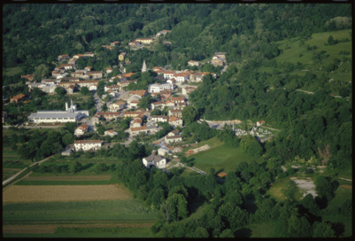 Rodik - Vas