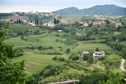 Biljana - Vas