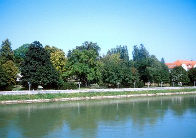 Ptuj - Mestni park