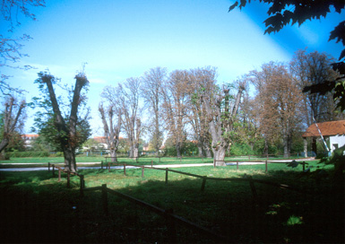 Ptuj - Park starega sejmišča