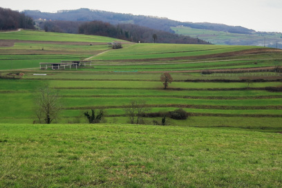 Hmeljčič - Kulturna krajina