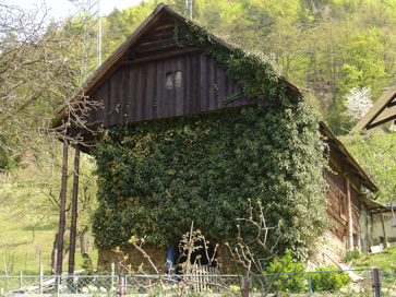 Podkraj pri Velenju - Kašča na domačiji Podkraj pri Velenju 46a