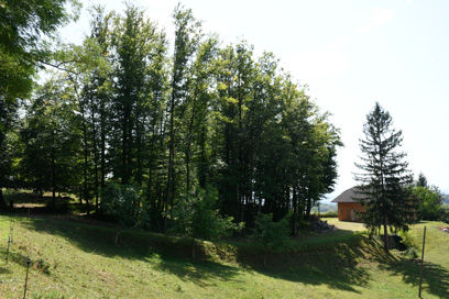Koritnica - Gomilno grobišče