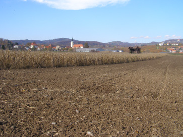 Leskovec pri Krškem - Arheološko najdišče Leskovec