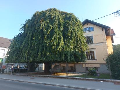 Ljubljana - Vila Vodnikova 93