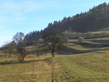 Zgornja Javoršica - Kulturna krajina
