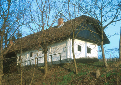 Uj' Tomazs - Klet Lendavske Gorice 355