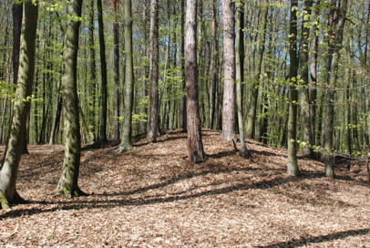Motvarjevci - Gomila