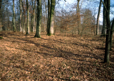 Žitkovci - Gomila Preseke