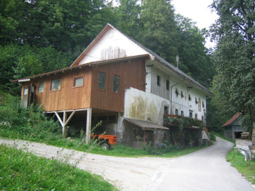 Žabja vas - Hiša Žabja vas 11