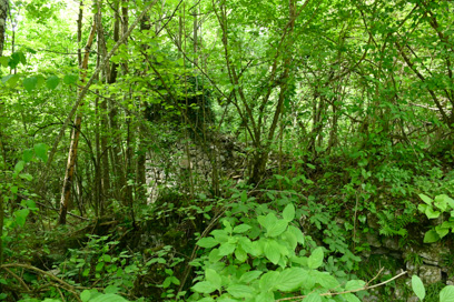 Ovčjak - Opuščena kočevarska vas