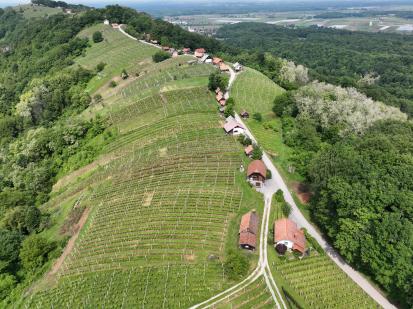 Bočje - Vinske gorice