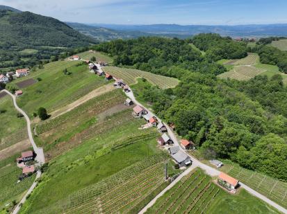 Črneča vas - Vinske gorice