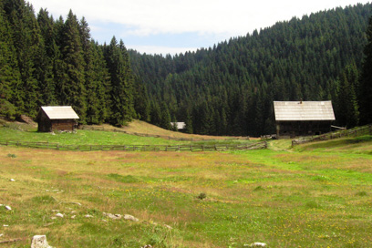 Pokljuka - Rečiška planina