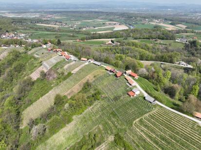Šutenski vrh - Vinske gorice
