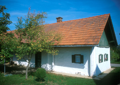 Okoslavci - Dolevečeva klet
