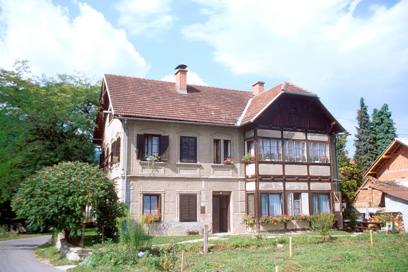 Ruše - Hiša Falska 124