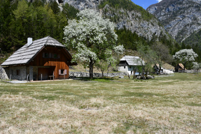 Trenta - Domačija Trenta 26