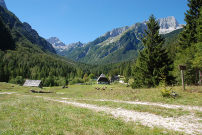 Trenta - Domačija Trenta 75