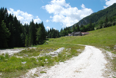 Log pod Mangartom - Mangrtska planina