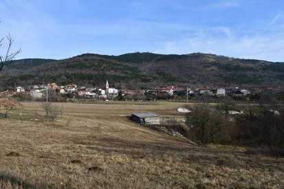 Lipa na Krasu - Vas