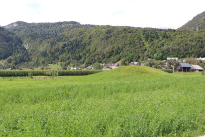 Srednja vas v Bohinju - Prazgodovinska gomila