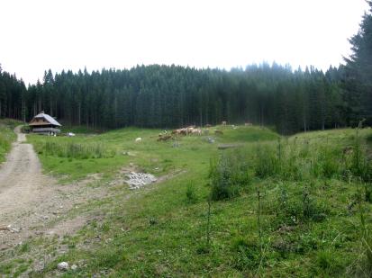 Jelovica - Lipniška planina