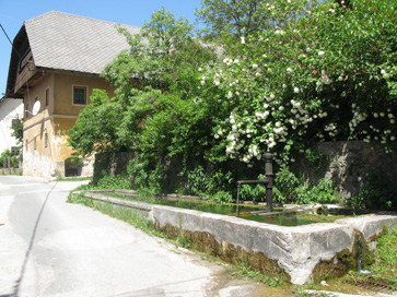 Dovje - Napajalno korito