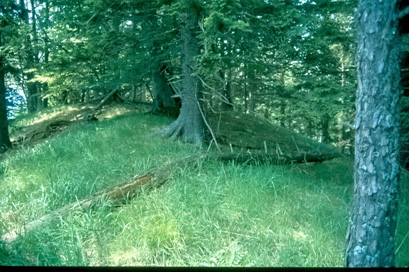 Begunje na Gorenjskem - Arheološko najdišče Gradišče v dolini Drage