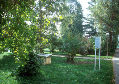 Ptuj - Sončni park