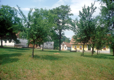Janhova - Domačija Grin