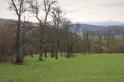 Hmeljčič - Stiški sadovnjak