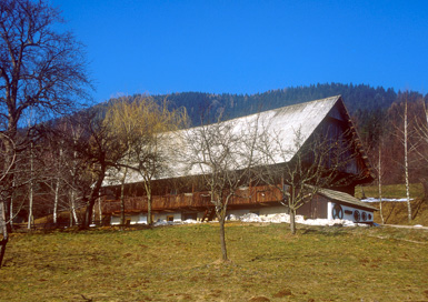 Sveti Trije Kralji nad Radljami - Ruševo gospodarsko poslopje