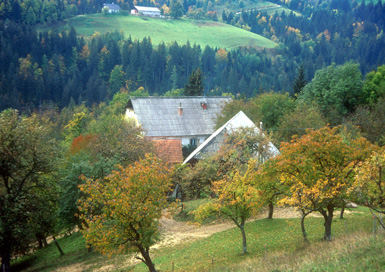 Završe - Domačija Purger