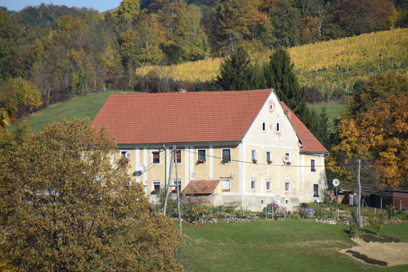 Ciringa - Cestni dvor