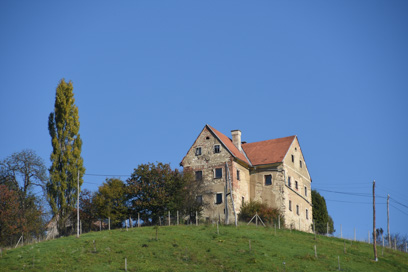 Svečina - Štok Svečina 30