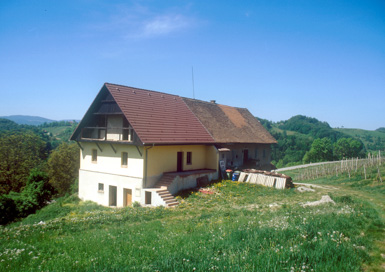 Podigrac - Viničarija Podigrac 6