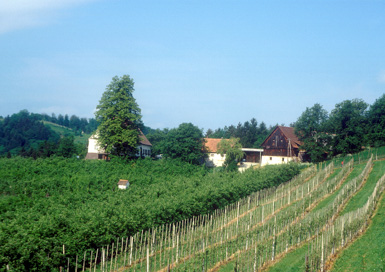 Špičnik - Domačija Vdovč