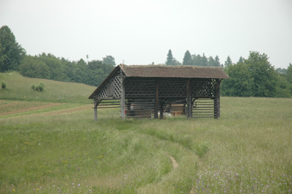 Velika Dolina - Območje dveh kozolcev