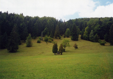 Travnik - Kulturna krajina Sodol