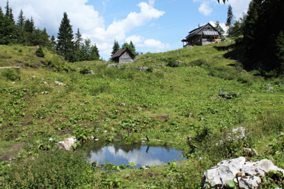 Ravne v Bohinju - Planina Za Liscem