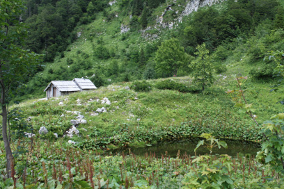 Žlan - Planina Osredki