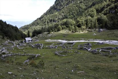 Polje v Bohinju - Planina Suha
