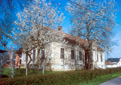 Iljaševci - Domačija Skuhala