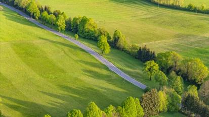 Cerknica - Drevored