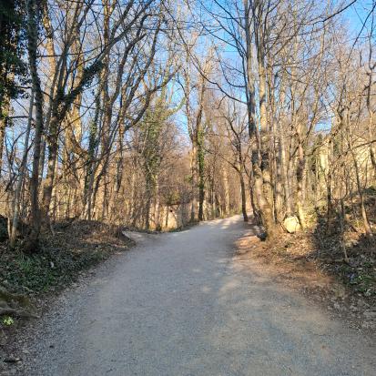 Ljubljana - Arheološko najdišče Šmarna gora
