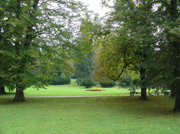 Topolšica - Zdraviliški park