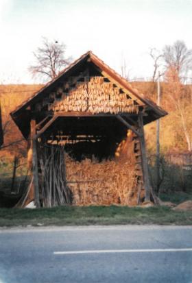 Mlače - Kozolec na domačiji Mlače 3