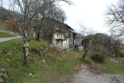 Borjana - Domačija Borjana 91